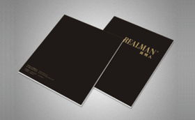 字体中国画册设计案例 成功案例解析与企业形象策划的完美融合